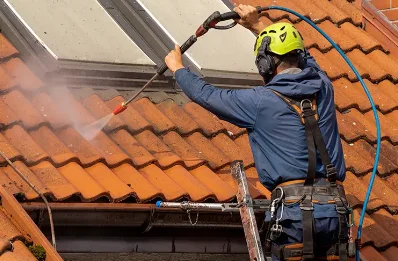 Démoussage et hydrofuge de toiture à Plessé